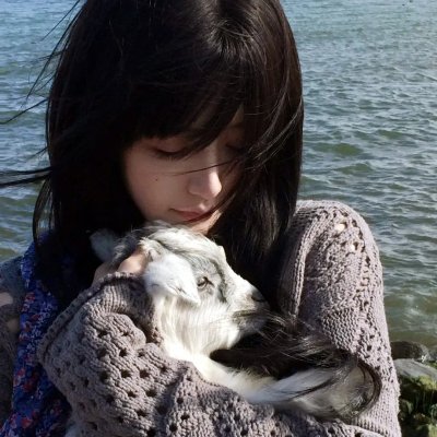 博斯:传承第二季 海报